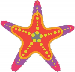 starfish marine animal gray color clipart
