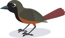 starling bird clipart