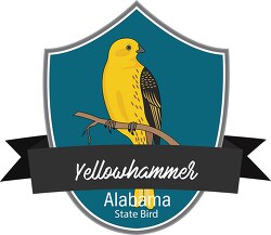 State bird of Alabama the Yellowhammer clipart