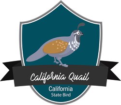 State bird of California the California quail clipart