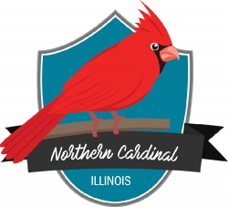 state bird of illinois the northern cardinal clipart