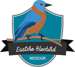 state bird of missouri eastern bluebird clipart