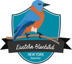 state bird of new york eastern bluebird clipart