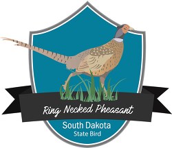 state bird of south dakota ring necked pheasant clipart