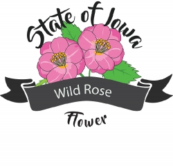 state flower of iowa wild rose clipart image