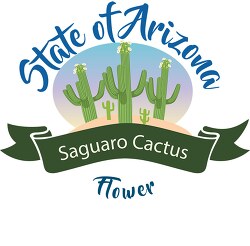 state of arizona flower saguaro cactus clipart image