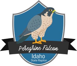 state raptor of idaho the peregrine falcon clipart