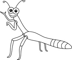 Stick Insect Cartoon Outline