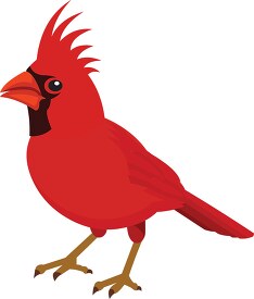 Classroom Clip Art - cardinal