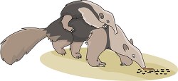 clipart of mother anteater with baby on her back