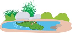 crocodile swimming in a pond