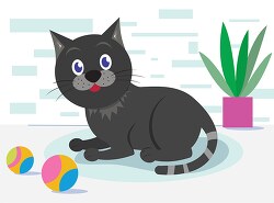 cute black gray cat plays with colorful ball