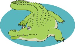 green alligator resting clipart