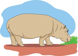 hippopotamus walking in mud africa clipart