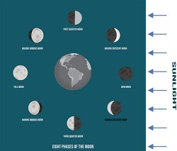 Classroom Clip Art - phases