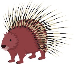 porcupine animal clipart