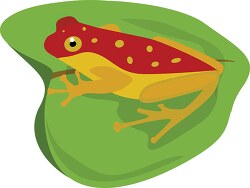 red yellow frog on leaf clipart