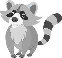 - ringtail