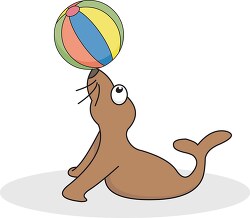 seal playing with colorful ball