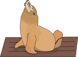 seal siits on pier clipart 