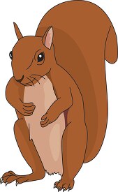 squirrel standing with large fluffy tail clipart