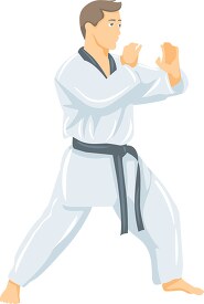 taekwondo  martial ar
