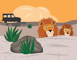 two lions hiding near rocks from safari jeep clipart