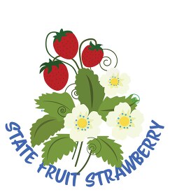 strawberry state fruit louisiana clipart