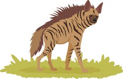striped hyena in africa clipart