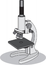 student compund microscope gray 220