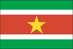 Suriname flag flat design clipart
