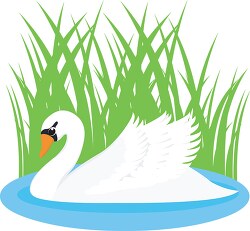 swan bird in lake clipart