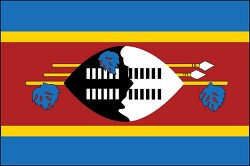 Swaziland flag flat design clipart
