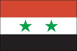Syria flag flat design clipart