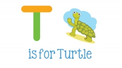 t turtle animated alphabet