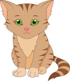 tabby cat kitten with green eyes