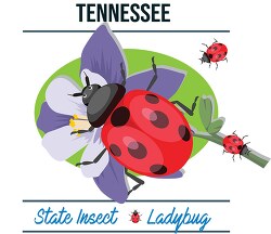 tennessee state insect ladybug vector clipart image