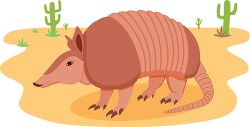 texas armadillo with background of cactus and sand clipart