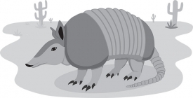 texas armadillo with background of cactus and sand gray color
