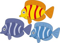 three colorful fish 914