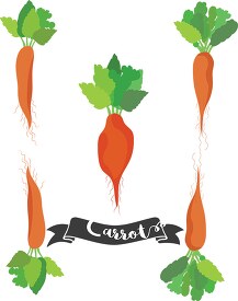 three different types of carrots including ribbon with text clip
