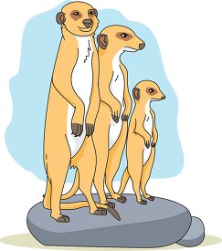 three meerkat standing on rock