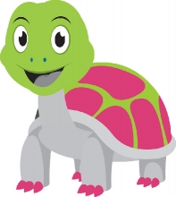 tortoise gray color clipart