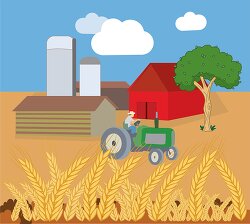 tractor on farm with field of wheat clipart