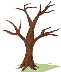 tree no leaves clipart