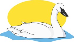 trumpeter swan clipart