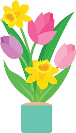 tulips dafadils spring flower in pot clipart