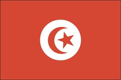 Tunisia flag flat design clipart