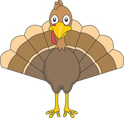 turkey feathers spread out clipart 58178