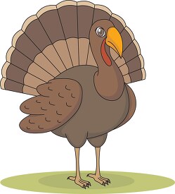 turkey vector clipart